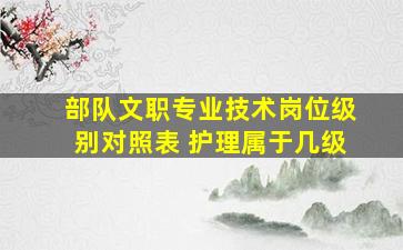 部队文职专业技术岗位级别对照表 护理属于几级